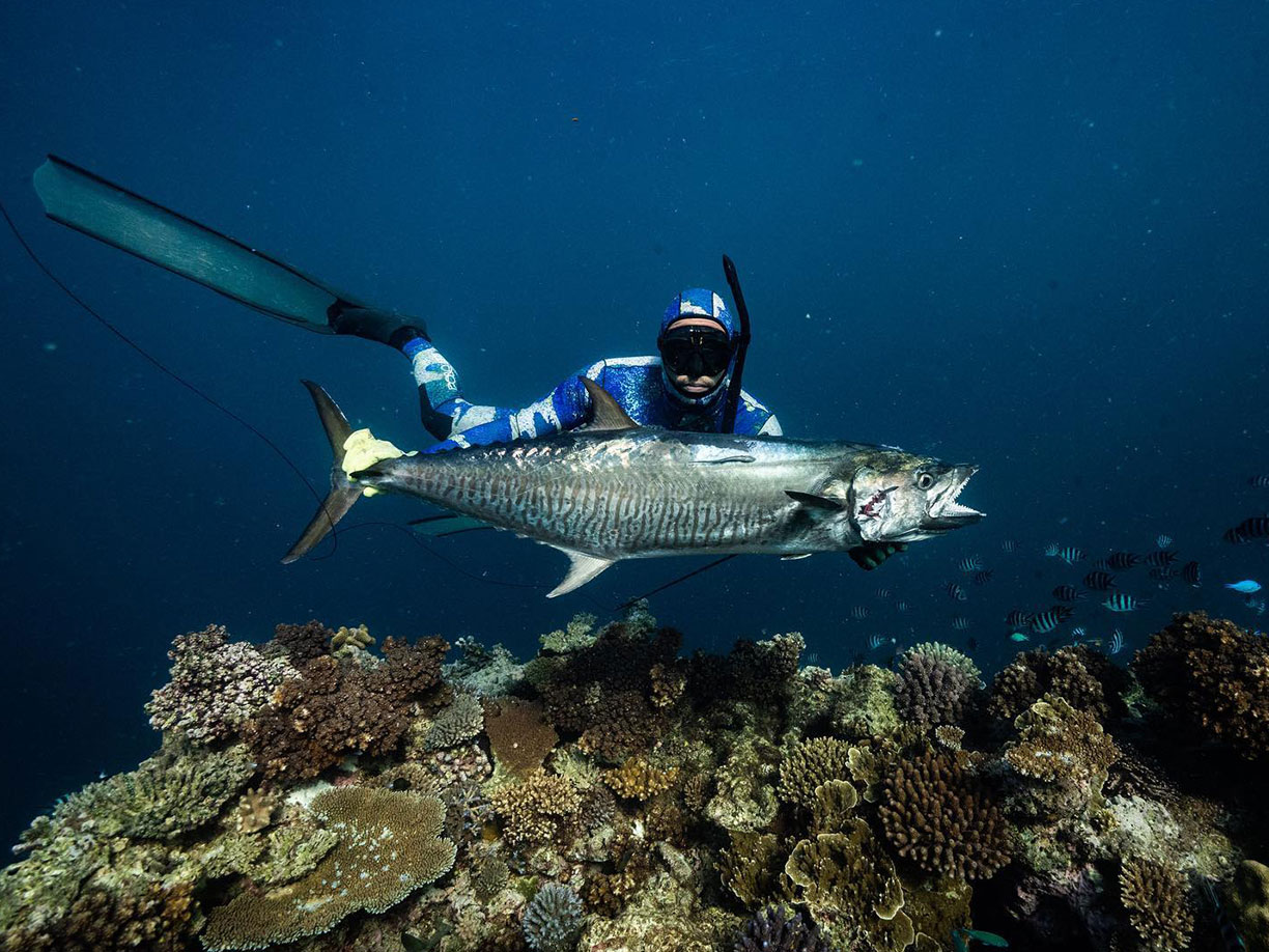 Spearfishing guide services